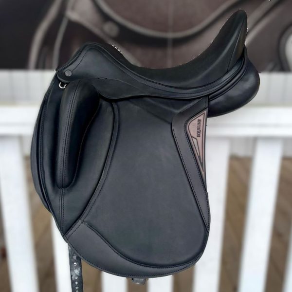 Equiline Alissum 17"