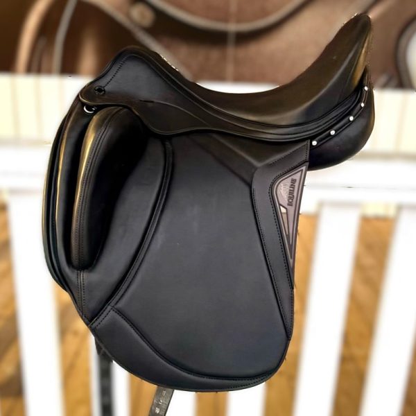 Equiline Alissum 17"