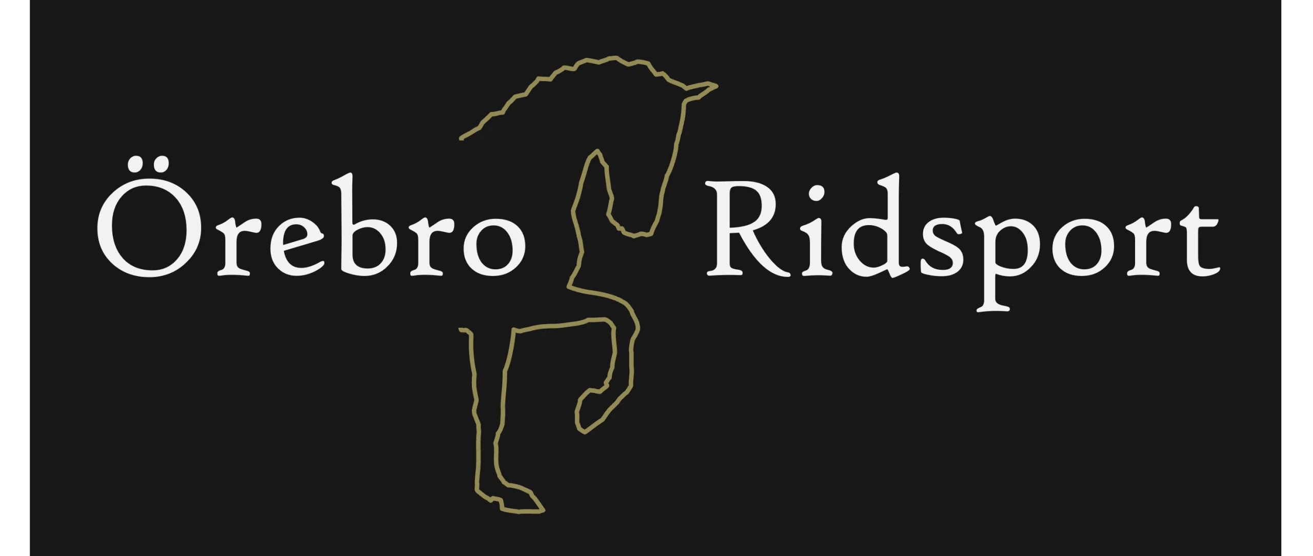 Begagnade sadlar Örebro Ridsport