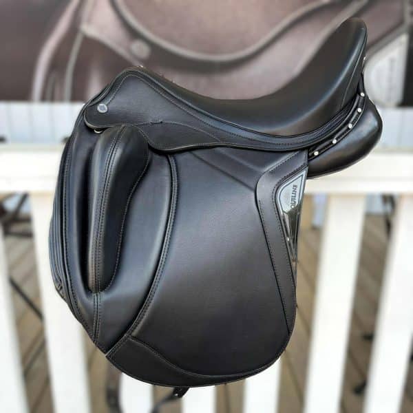 Equiline Alissum 17"