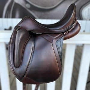 Equiline Alissum 16"