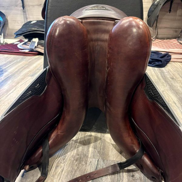 Equiline Alissum 17" - Bild 2