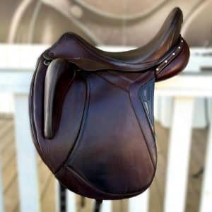 Equiline Alissum 17"