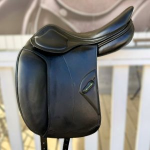 Amerigo DJ Pinerolo 17”
